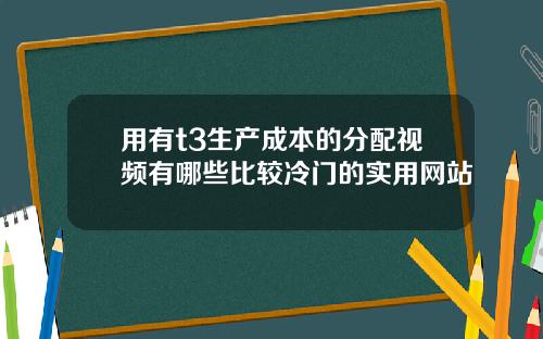 用有t3生产成本的分配视频有哪些比较冷门的实用网站