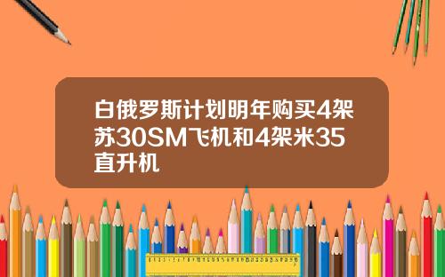 白俄罗斯计划明年购买4架苏30SM飞机和4架米35直升机