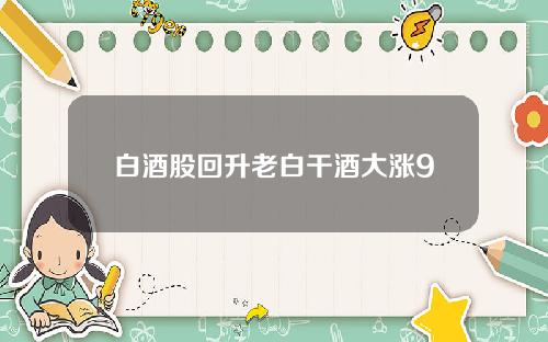 白酒股回升老白干酒大涨9