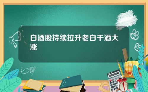 白酒股持续拉升老白干酒大涨