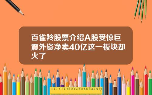 百雀羚股票介绍A股受惊巨震外资净卖40亿这一板块却火了