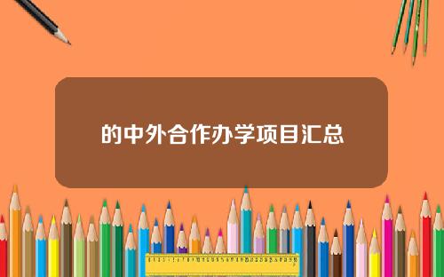 的中外合作办学项目汇总