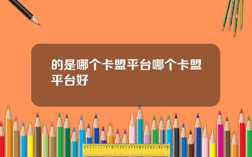 的是哪个卡盟平台哪个卡盟平台好