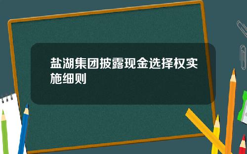 盐湖集团披露现金选择权实施细则