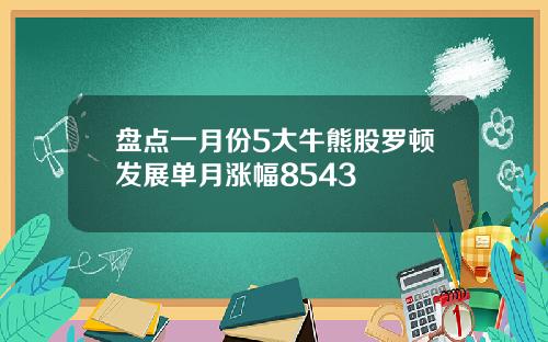 盘点一月份5大牛熊股罗顿发展单月涨幅8543