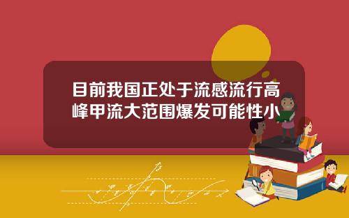 目前我国正处于流感流行高峰甲流大范围爆发可能性小