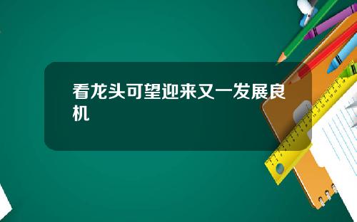 看龙头可望迎来又一发展良机