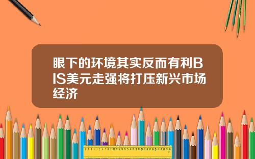 眼下的环境其实反而有利BIS美元走强将打压新兴市场经济