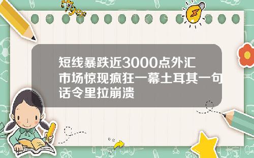 短线暴跌近3000点外汇市场惊现疯狂一幕土耳其一句话令里拉崩溃