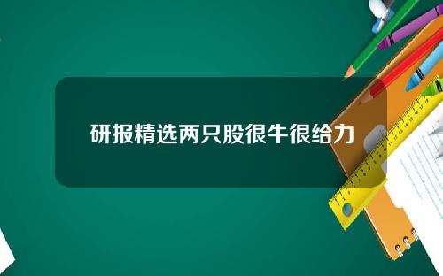 研报精选两只股很牛很给力