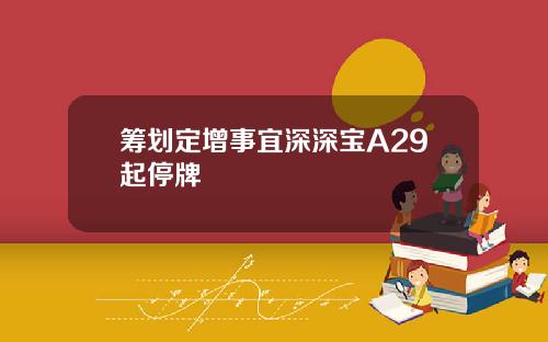 筹划定增事宜深深宝A29起停牌