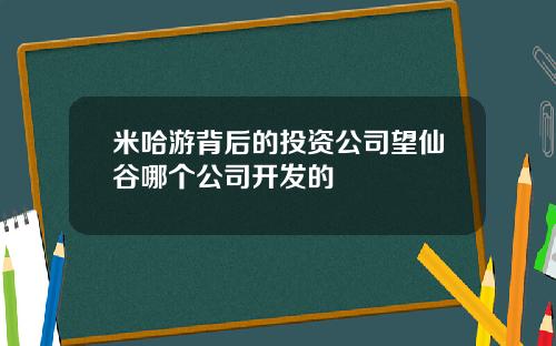 米哈游背后的投资公司望仙谷哪个公司开发的