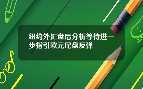 纽约外汇盘后分析等待进一步指引欧元尾盘反弹