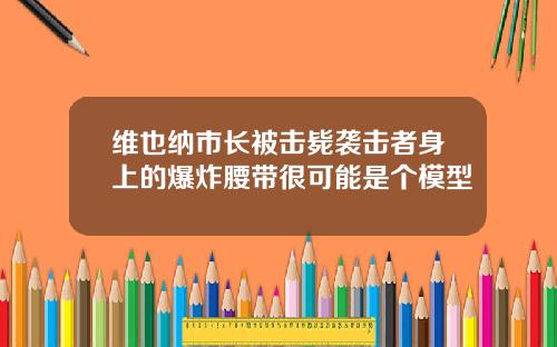 维也纳市长被击毙袭击者身上的爆炸腰带很可能是个模型