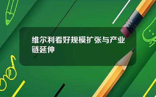 维尔利看好规模扩张与产业链延伸