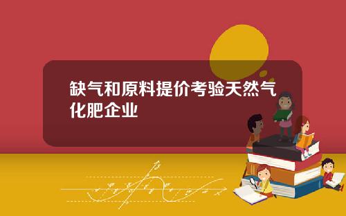 缺气和原料提价考验天然气化肥企业