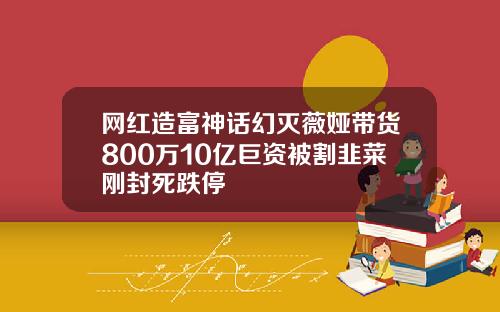 网红造富神话幻灭薇娅带货800万10亿巨资被割韭菜刚封死跌停