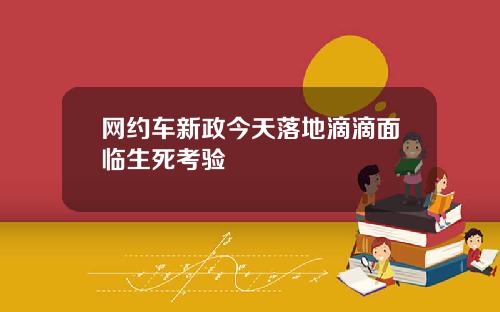 网约车新政今天落地滴滴面临生死考验