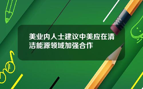 美业内人士建议中美应在清洁能源领域加强合作