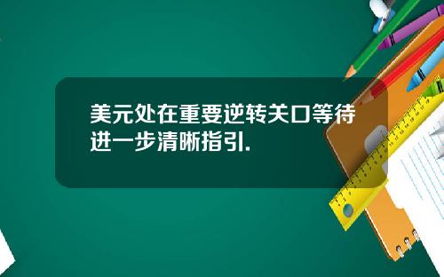 美元处在重要逆转关口等待进一步清晰指引.