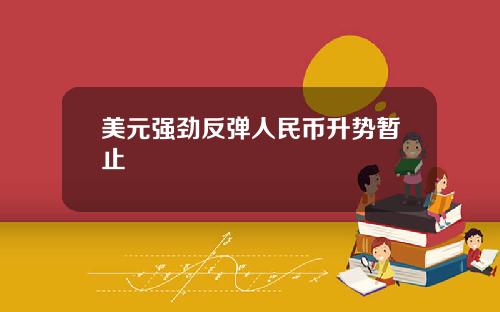 美元强劲反弹人民币升势暂止