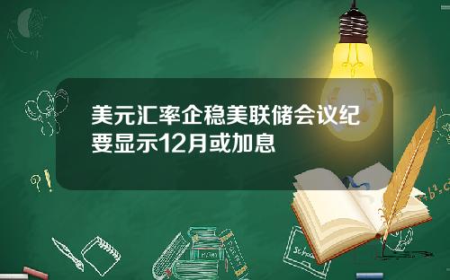 美元汇率企稳美联储会议纪要显示12月或加息