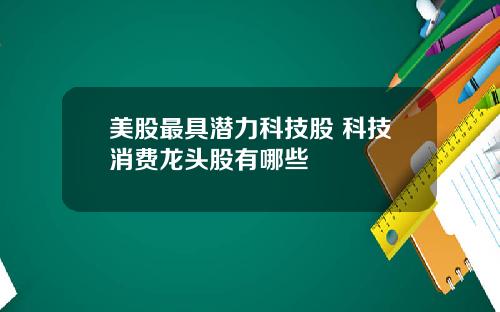 美股最具潜力科技股 科技消费龙头股有哪些