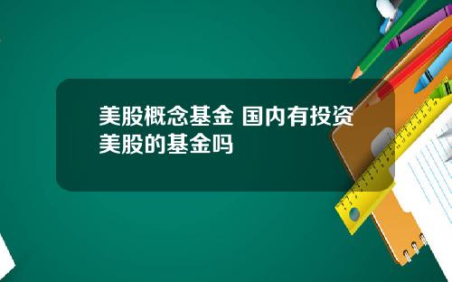 美股概念基金 国内有投资美股的基金吗