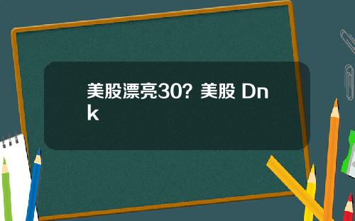 美股漂亮30?美股 Dnk