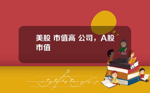 美股 市值高 公司，A股市值