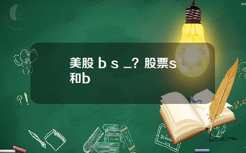 美股 b s _?股票s和b