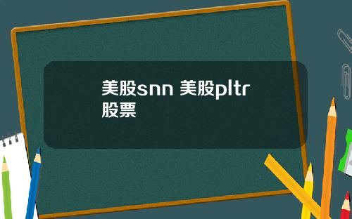 美股snn 美股pltr股票