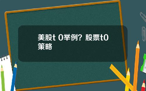 美股t 0举例?股票t0策略