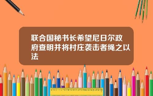 联合国秘书长希望尼日尔政府查明并将村庄袭击者绳之以法