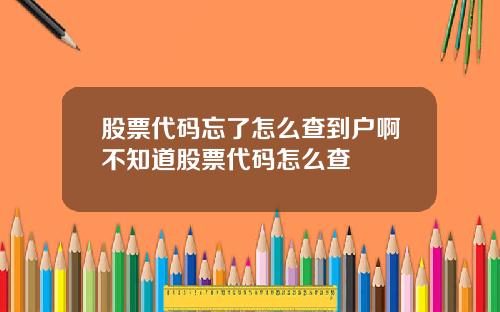 股票代码忘了怎么查到户啊不知道股票代码怎么查