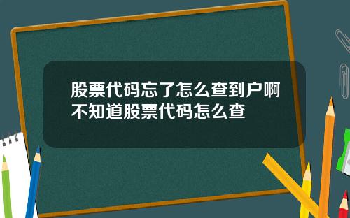 股票代码忘了怎么查到户啊不知道股票代码怎么查