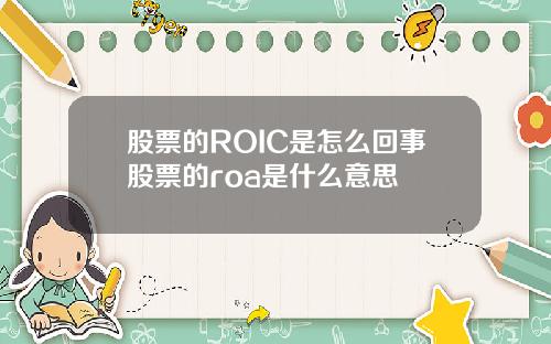 股票的ROIC是怎么回事股票的roa是什么意思