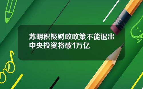 苏明积极财政政策不能退出中央投资将破1万亿
