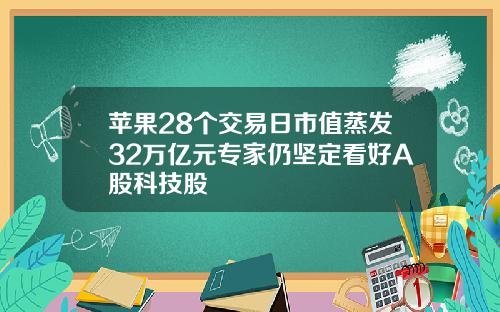 苹果28个交易日市值蒸发32万亿元专家仍坚定看好A股科技股