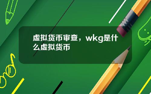 虚拟货币审查,wkg是什么虚拟货币