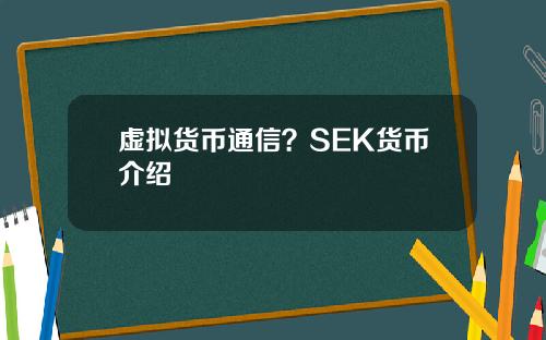 虚拟货币通信?SEK货币介绍
