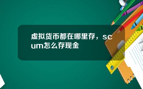 虚拟货币都在哪里存,scum怎么存现金