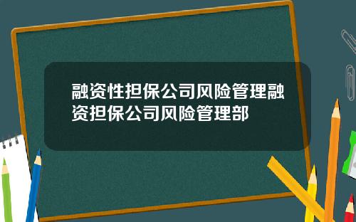 融资性担保公司风险管理融资担保公司风险管理部