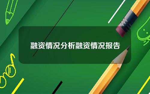 融资情况分析融资情况报告