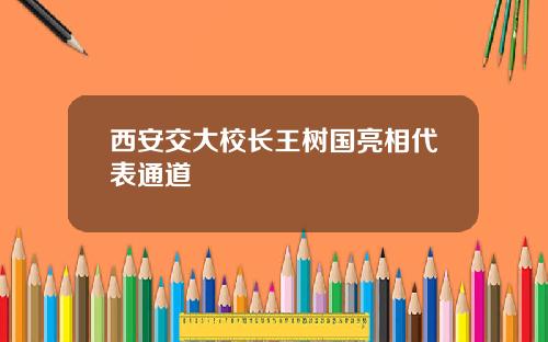 西安交大校长王树国亮相代表通道