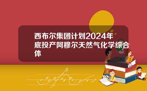 西布尔集团计划2024年底投产阿穆尔天然气化学综合体