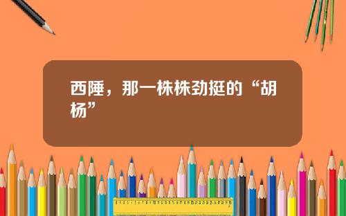 西陲,那一株株劲挺的“胡杨”