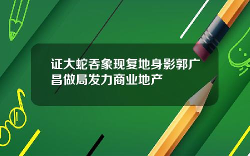 证大蛇吞象现复地身影郭广昌做局发力商业地产