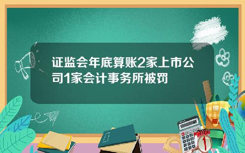 证监会年底算账2家上市公司1家会计事务所被罚