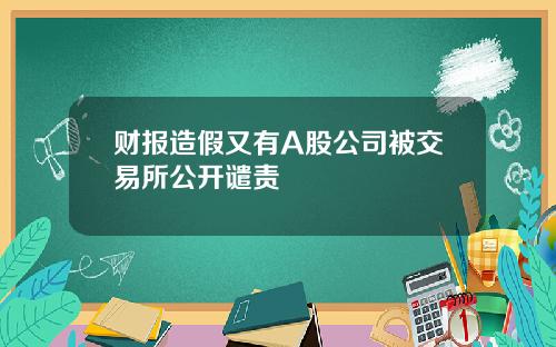 财报造假又有A股公司被交易所公开谴责